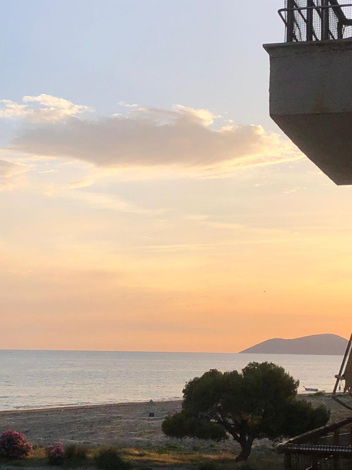 Ardi Vlorë